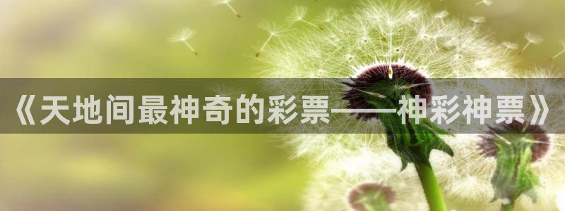 壹号app下载苹果：《天地间最神奇的彩票——神彩神票》